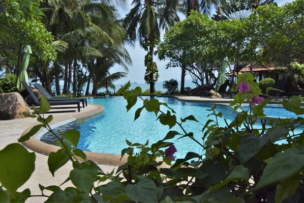 Shared Pool by the beach