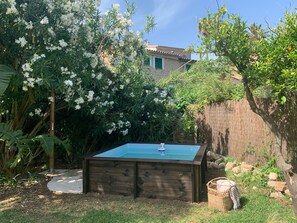 Plunge pool with outdoor bamboo shower
