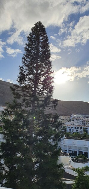 Sunrise from from Penthouse Terrace