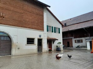 Picture 3