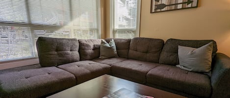 Queen Size Pull Out Sofa Bed