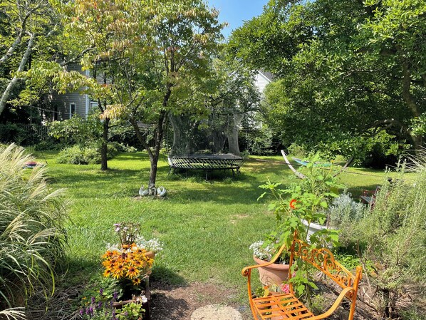 back yard.  one person on the trampoline at a time please.