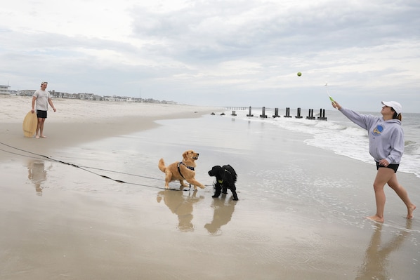 Strand