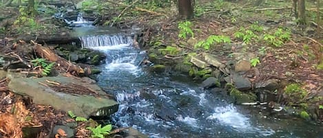 Beautiful waterfall in the backyard of the house