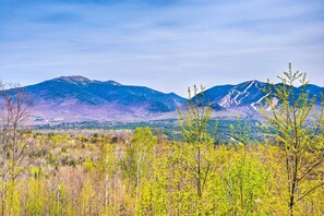 Surrounding Area | Mountain Views