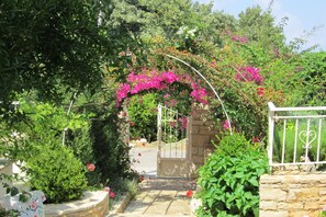 Jardin [été]