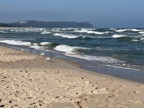 Ostseebad Göhren 4-Personen-Ferienhaus mit beh. WPool