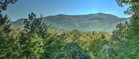 This breathtaking photo captures the majestic beauty of the Blue Ridge Mountains. The unique shapes of the mountains create an unforgettable and awe-inspiring view that will stay with you long after you've left.