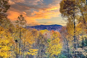 Fall in the Blue Ridge Mountains is breathtaking. The mountain range is covered in a rich tapestry of warm colors, with all of the leaves of the trees turning golden yellow, fiery red, and deep orange.