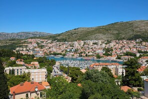 View from terrace