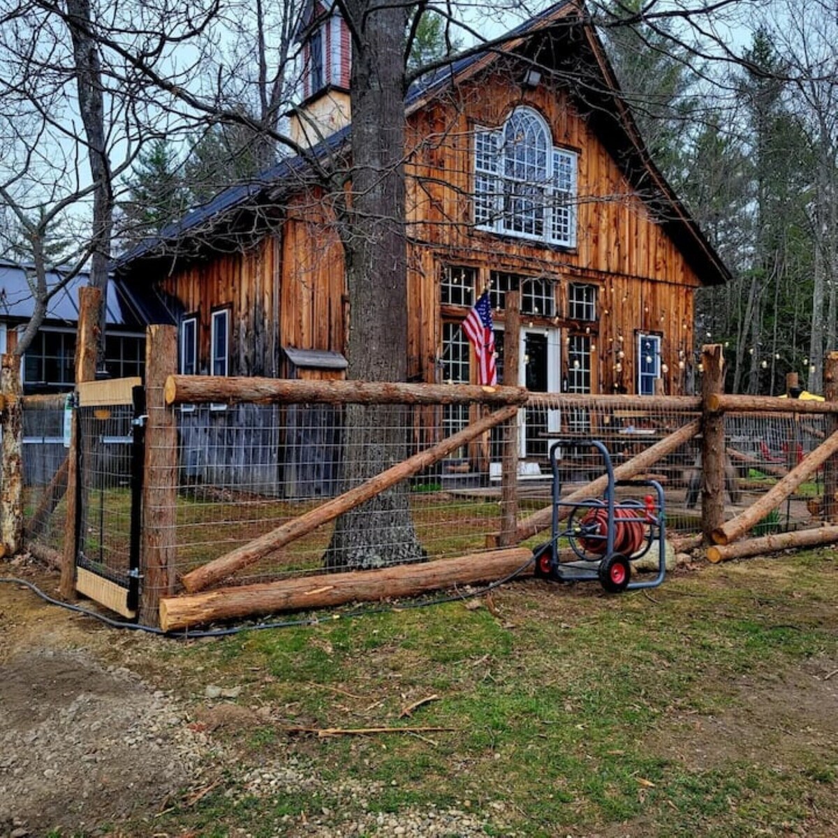 Main Image