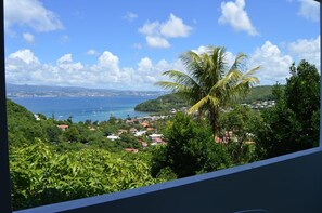 La vue 