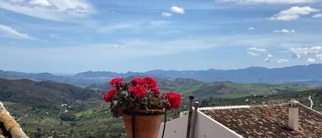 Incredible views from the roof terrace.