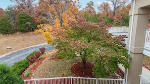 4WyndhamatBranson_Building5,Suite310B-043