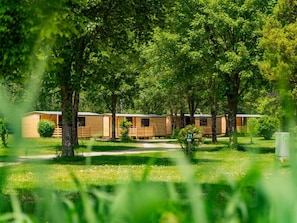 Jardin, Printemps, Pelouse, Parc, Ombre, Aménagement Paysager, Cour, Batiments Jardin, ArriÚre-Cour, Eco HÎtel
