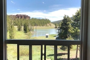 Living room view of Lake Levinsky