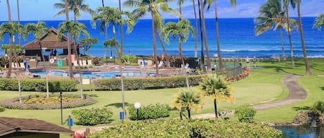 Beautiful view from the Lanai of the ocean and grounds.