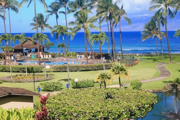 Beautiful view from the Lanai of the ocean and grounds.