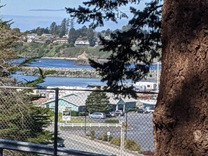 View from the Deck