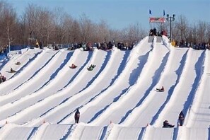 Sne- og skisport