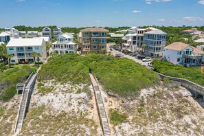 Beach Walkover cover by Native Tree Canopy.