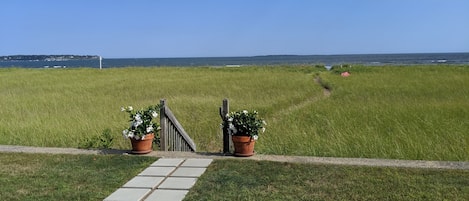 View of Ocean from Front Yard (Summer)