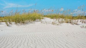 Inlet Beach Area Beaches