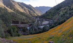 You will have access to some of the most beautiful river stretches imaginable.