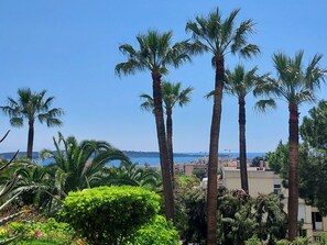 Ciel, Plante, Propriété, Communauté Des Plantes, Arbre, Bleu Azur, L'Eau, Terrestre Des Plantes, Arecales, Végétation