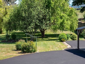 Plante, Arbre, Ombre, Végétation, Lot Terre, Surface De La Route, Herbe, Arbuste, Paysage, Couverture De Sol