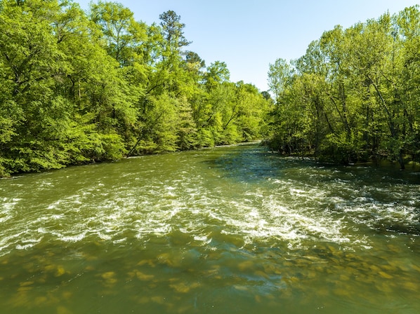 This is just in front of the cabin. Enjoy fishing for trout on the Little Missouri River.  Swimming is possible when water is not being released from the dam.  

Please check the website for Narrows Dam Generation Schedule as it changes weekly: 
https://www.swepco.com/community/education/recreation