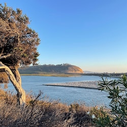 Los Peñasquitos Marsh Natural Preserve & Coastal Strand; 0.2 miles away.
