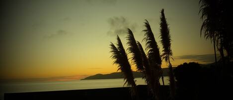 Kapiti Island 