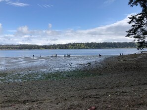 Manchester State Park Beach access steps away.  Kayak and Canoe Heaven.