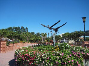 Imagen general