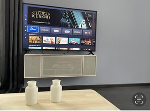 Der 55“ Smart-TV mit Netflix und Disney+