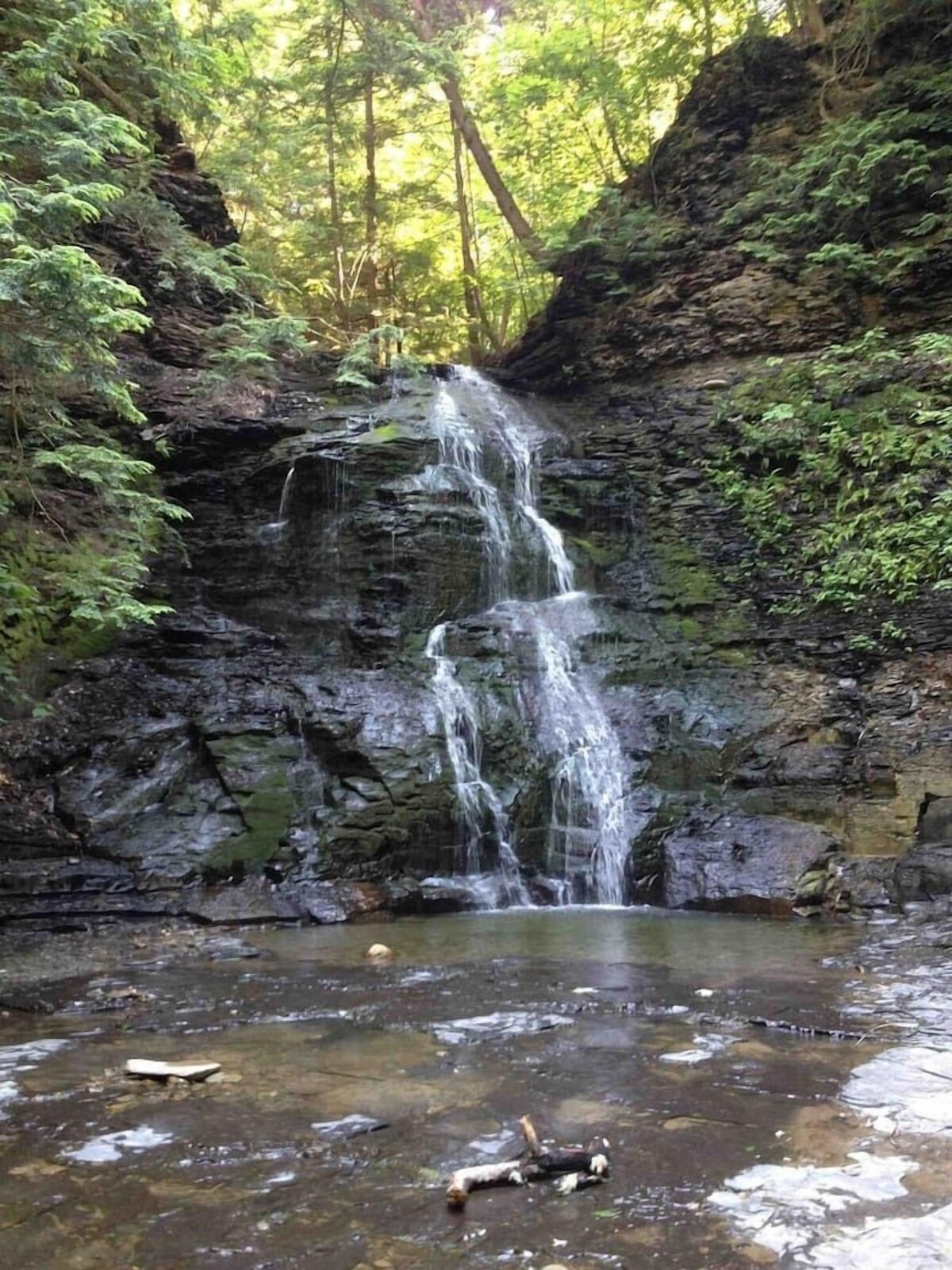 Main Image