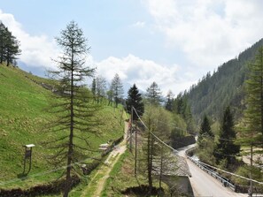 Cloud, Sky, Plant, Mountain, Tree, Larch, Slope, Natural Landscape, Wood, Mountainous Landforms