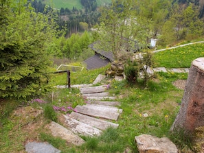 Plant, Plant Community, Tree, Natural Landscape, Vegetation, Slope, Land Lot, Grass, Bedrock, Woody Plant