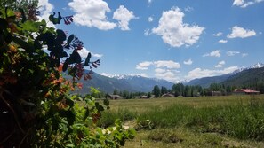 Back yard views to Ouray with a large field, wide open space!