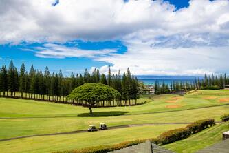 Golf Course Views and Close to Beaches