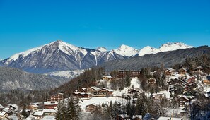 Sneeuw- en skisporten