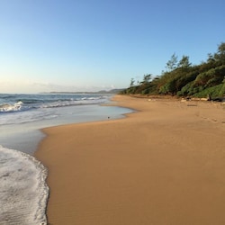 Take A Coastal Beach Walk