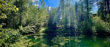 Overnatningsstedets område