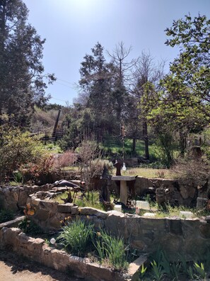 Bark yard garden 