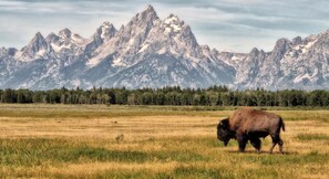The stunning Grand Teton National Park is just 45 minutes away!