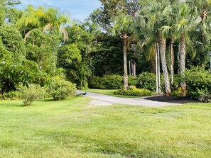 View from front porch