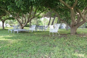 Jardin [été]