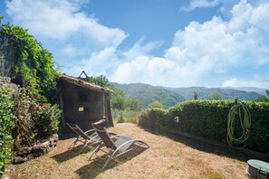 Garten [Sommer]