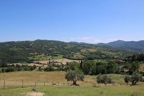 Aussicht vom Ferienhaus [Sommer]